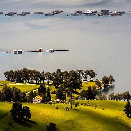 Divna Forest & House Dospat