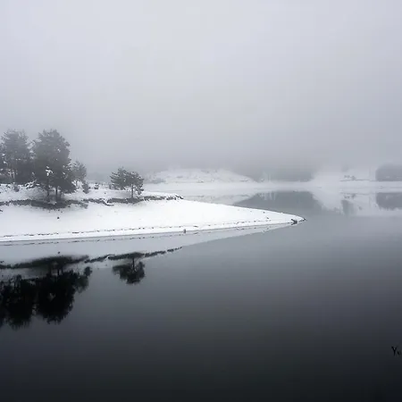 Guest house Divna Forest & House