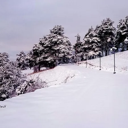 Divna Forest & House Guest house