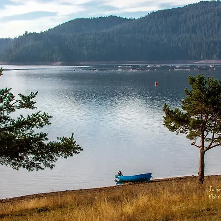 Guest house Divna Forest & House *