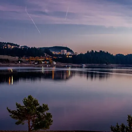 Divna Forest & House *