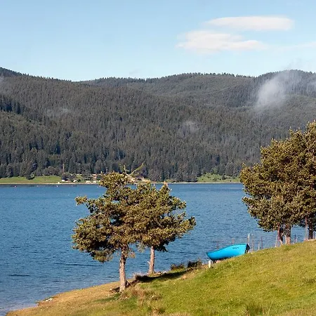 Divna Forest & House Dospat