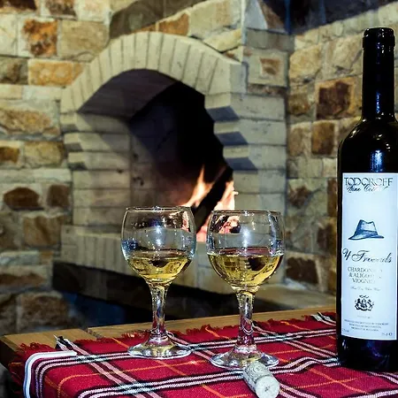 Divna Forest & House *