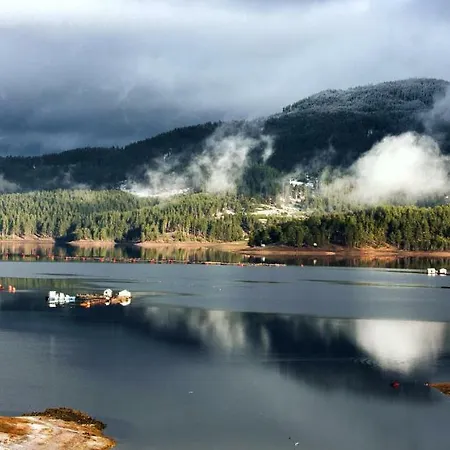 Divna Forest & House *