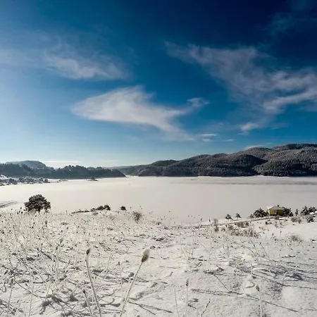 Divna Forest & House Guest house