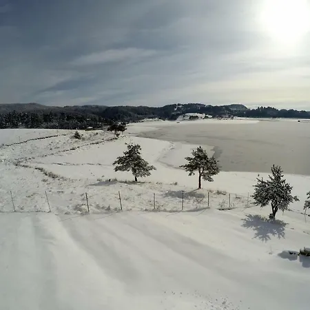 Guest house Divna Forest & House Dospat