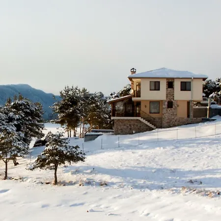 Guest house Divna Forest & House