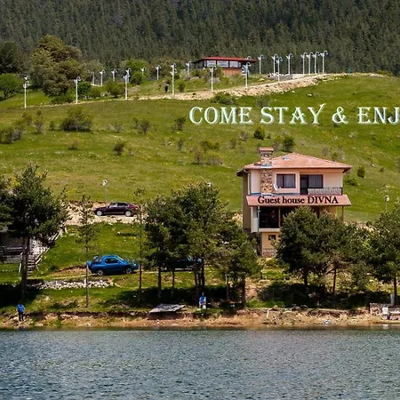 Divna Forest & House Guest house *