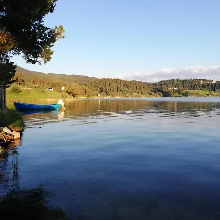 Divna Forest & House Guest house *