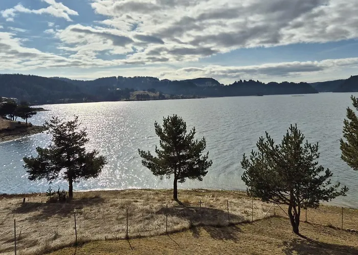 Divna Forest & House * 多斯帕特