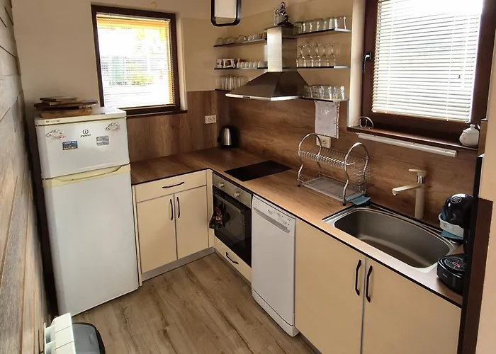 Divna Forest & House 多斯帕特