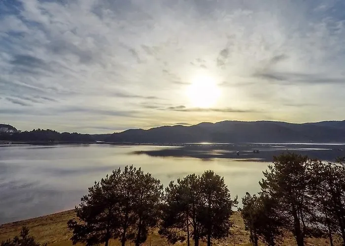 招待所 Divna Forest & House