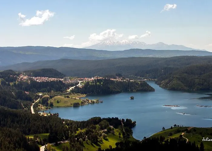 招待所 Divna Forest & House *