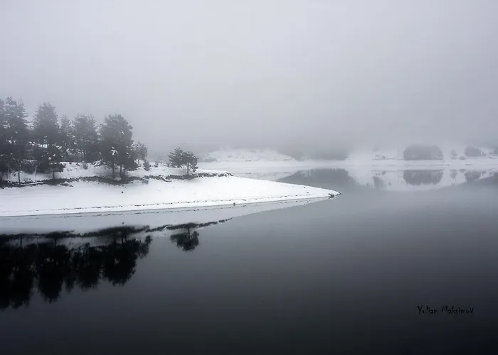 招待所 Divna Forest & House