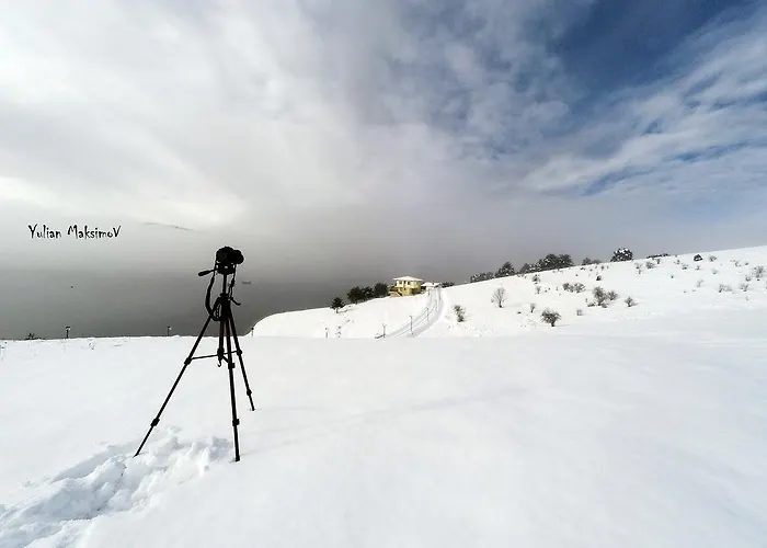 Divna Forest & House 招待所 多斯帕特