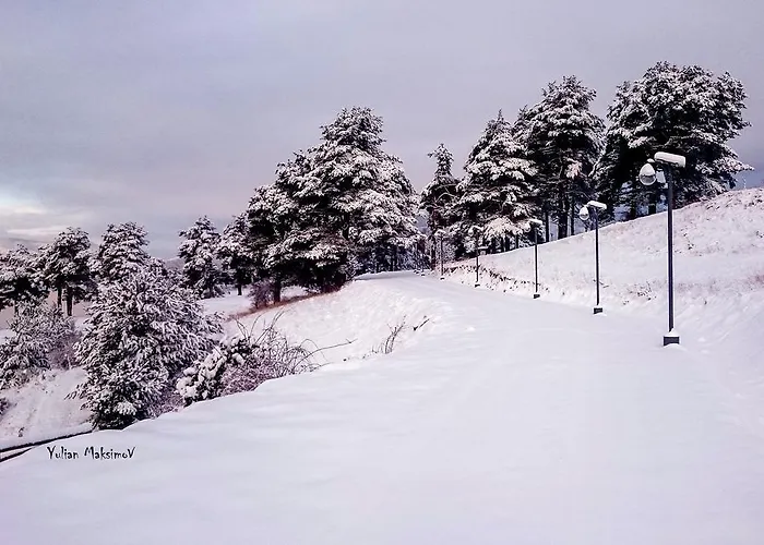 Divna Forest & House 招待所