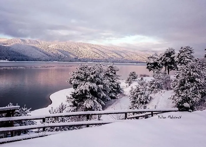 Divna Forest & House 招待所 *