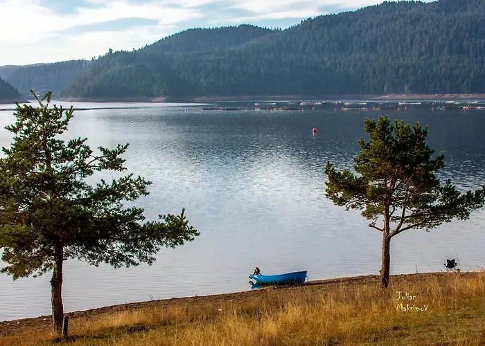 招待所 Divna Forest & House *