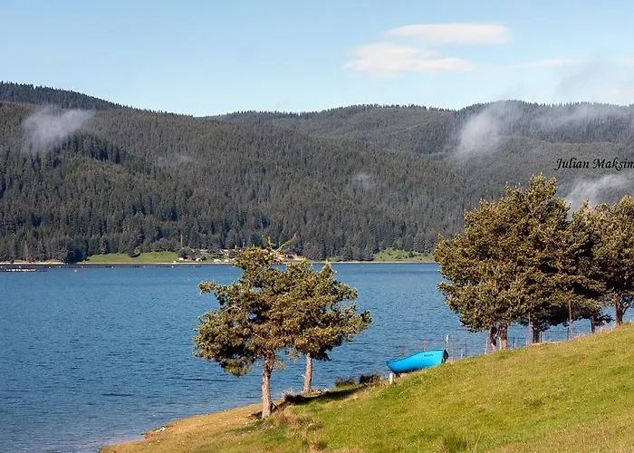 Divna Forest & House 多斯帕特