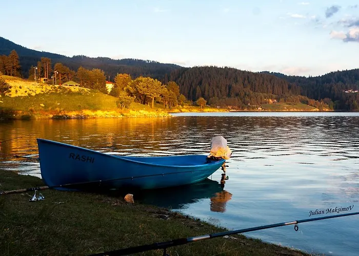 招待所 Divna Forest & House