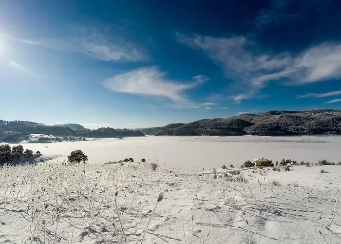 Divna Forest & House 招待所