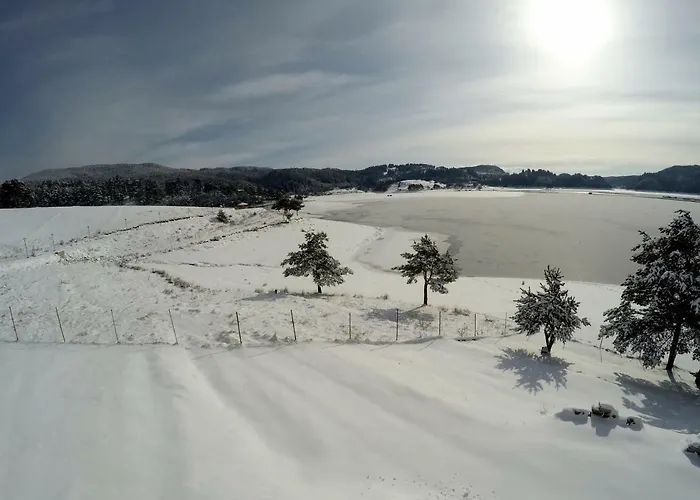 招待所 Divna Forest & House 多斯帕特