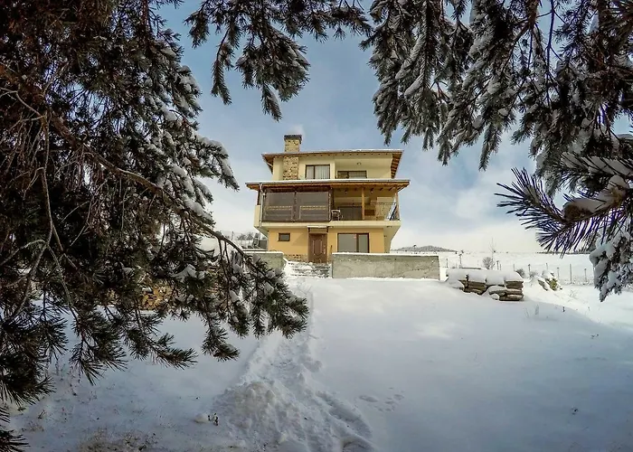 Divna Forest & House 招待所 *