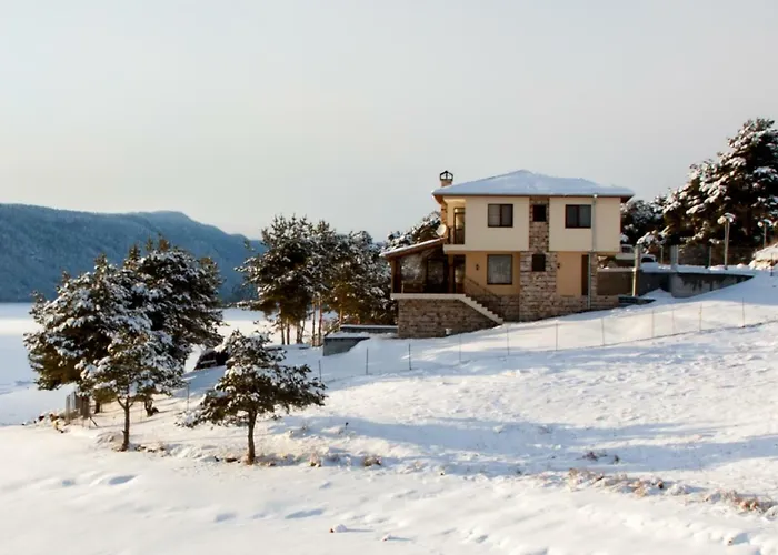 招待所 Divna Forest & House