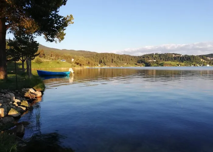 Divna Forest & House 招待所 *